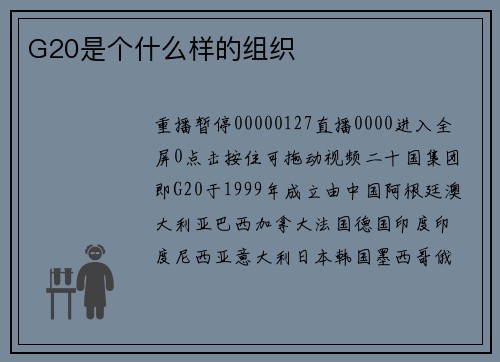 G20是个什么样的组织