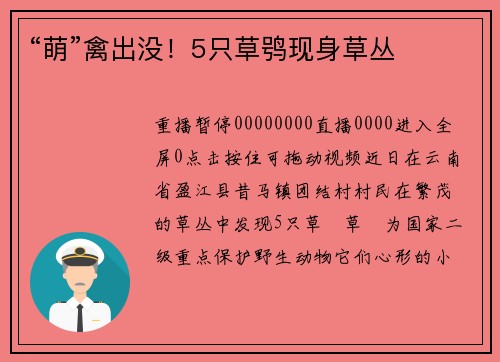 “萌”禽出没！5只草鸮现身草丛