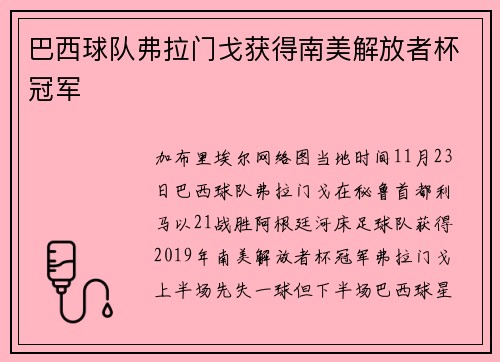 巴西球队弗拉门戈获得南美解放者杯冠军