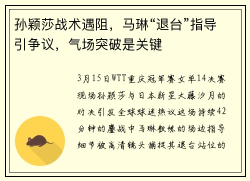 孙颖莎战术遇阻，马琳“退台”指导引争议，气场突破是关键
